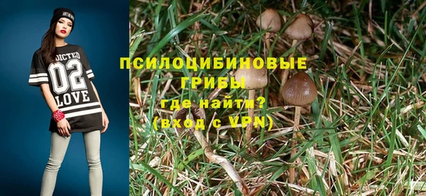 спайс Алзамай