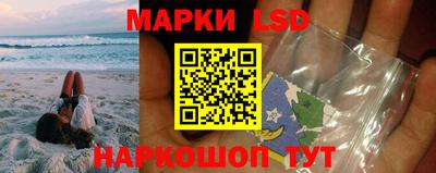 apvp Аша
