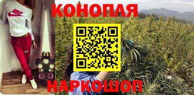 apvp Аша