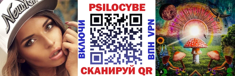 Галлюциногенные грибы Psilocybe  Лобня 